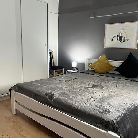 Old Town Belgrade Apartment 외부 사진